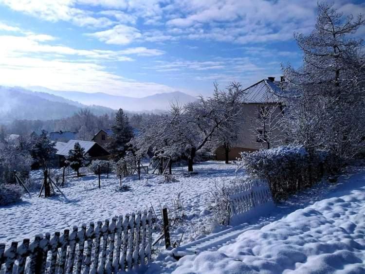 Domek Tuni Villa Pewel Wielka Exterior photo